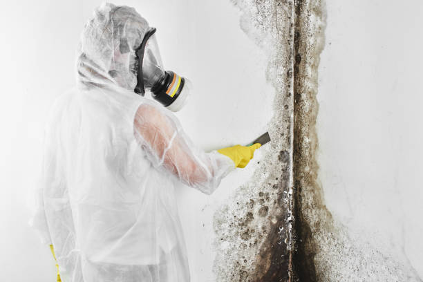 Best Mold Testing  in Abilene, KS