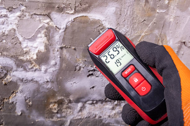 Best Same-Day Mold Removal  in Abilene, KS