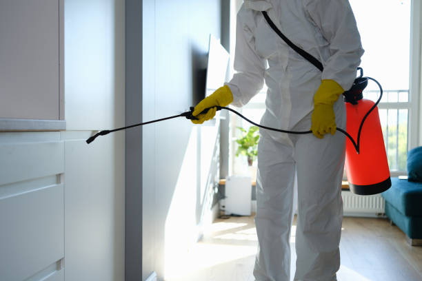 Best Certified Mold Removal  in Abilene, KS