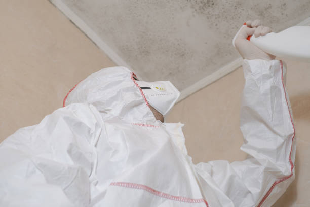 Best Local Mold Removal Service  in Abilene, KS